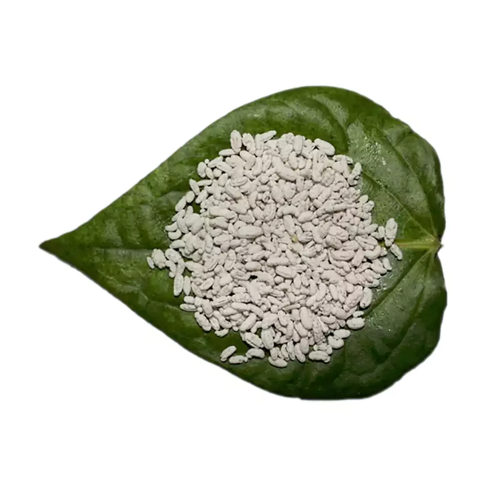 Madrasi Saunf - Chennai Saunf, 100g (Pack of 3)-1.webp